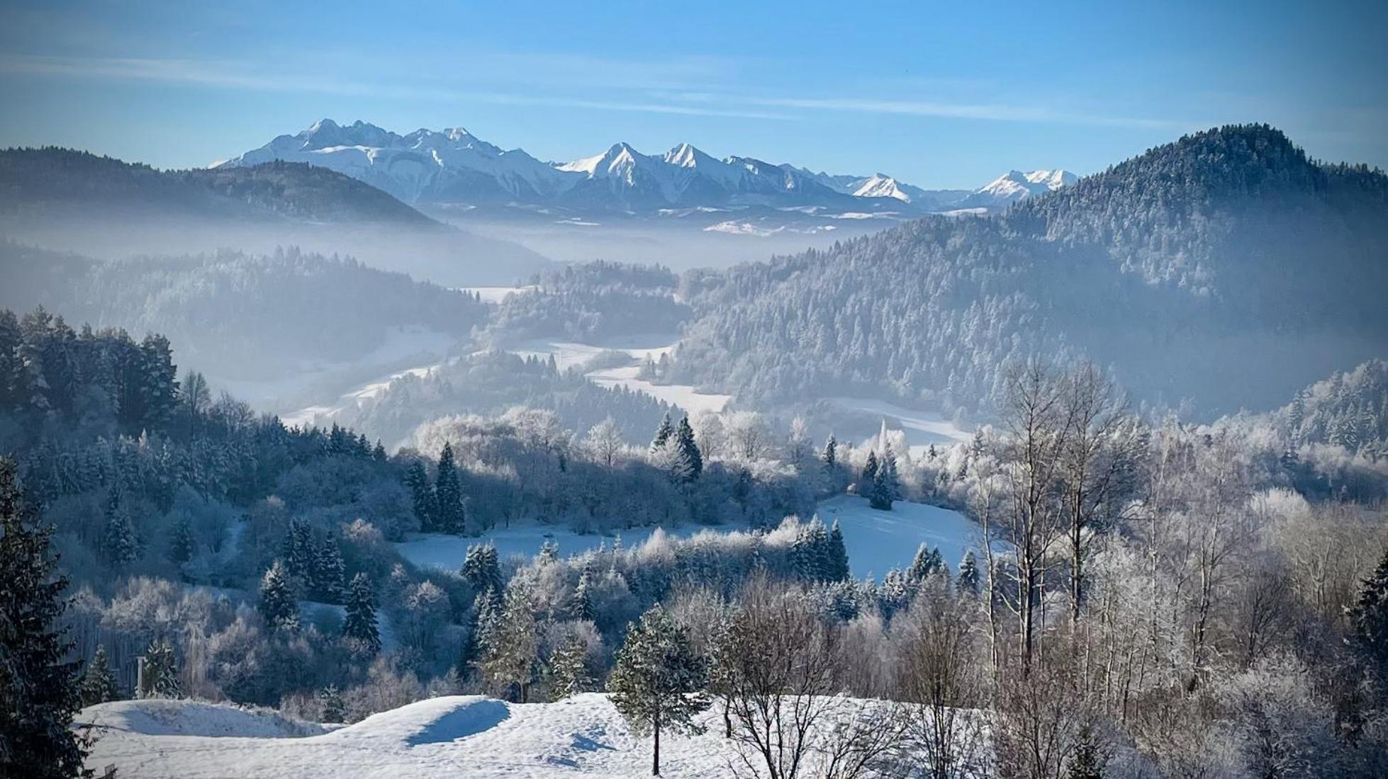 Apartamenty Kornaje Szczawnica Exteriör bild